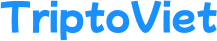 Travel Website
