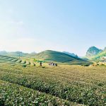 Moc Chau 2D 1N Private Tour From Hanoi with Bach Long Glass Bridge