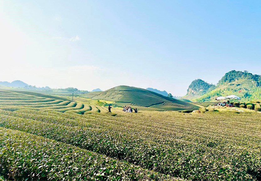 Moc Chau 2D 1N Private Tour From Hanoi with Bach Long Glass Bridge