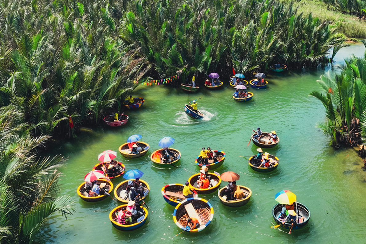 Hoi An 1 Day : Bay Mau Forest