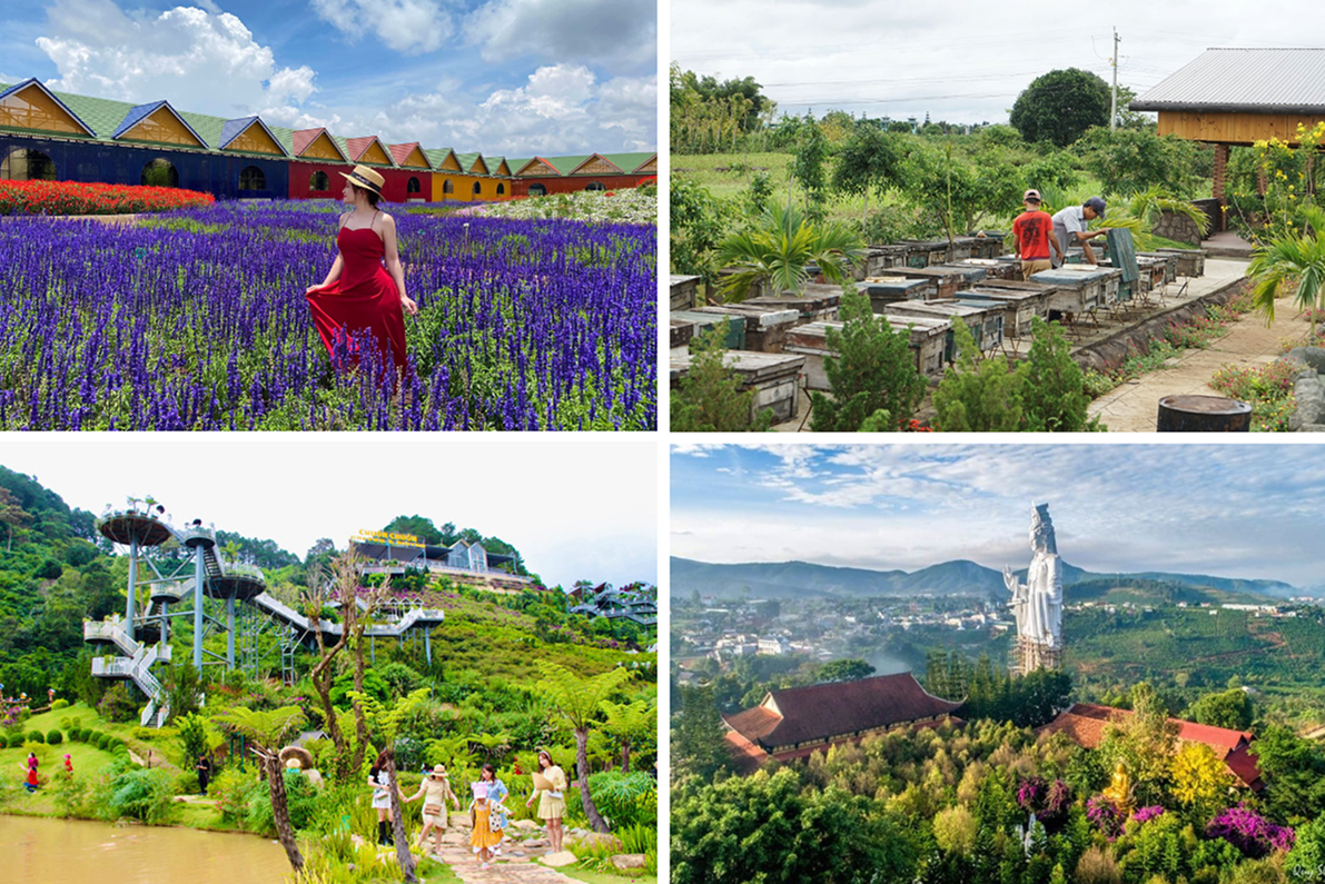 Da Lat 1 Day: Van Thanh Flower & Vegetable Farm – Me Linh Coffee – Dragonfly Garden – Linh An Pagoda – Bee Farm