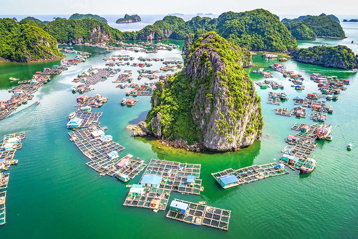 Unique Day Tour: Lan Ha Bay 1 Day Tour- Cat Ba Island