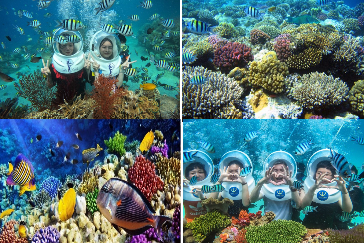 Nha Trang 1 Day: Sea Walking – Coral Bay
