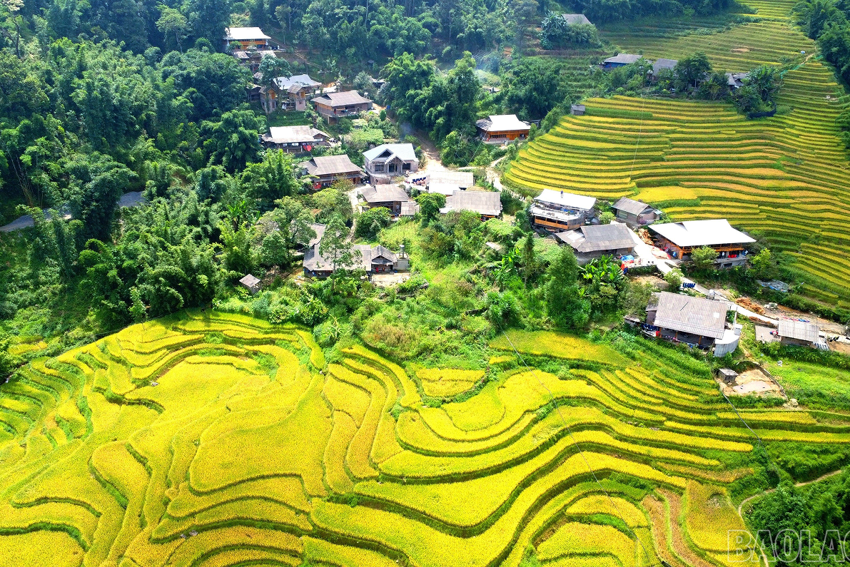 Sapa Trekking 2 Days (1 Night at the Homestay)